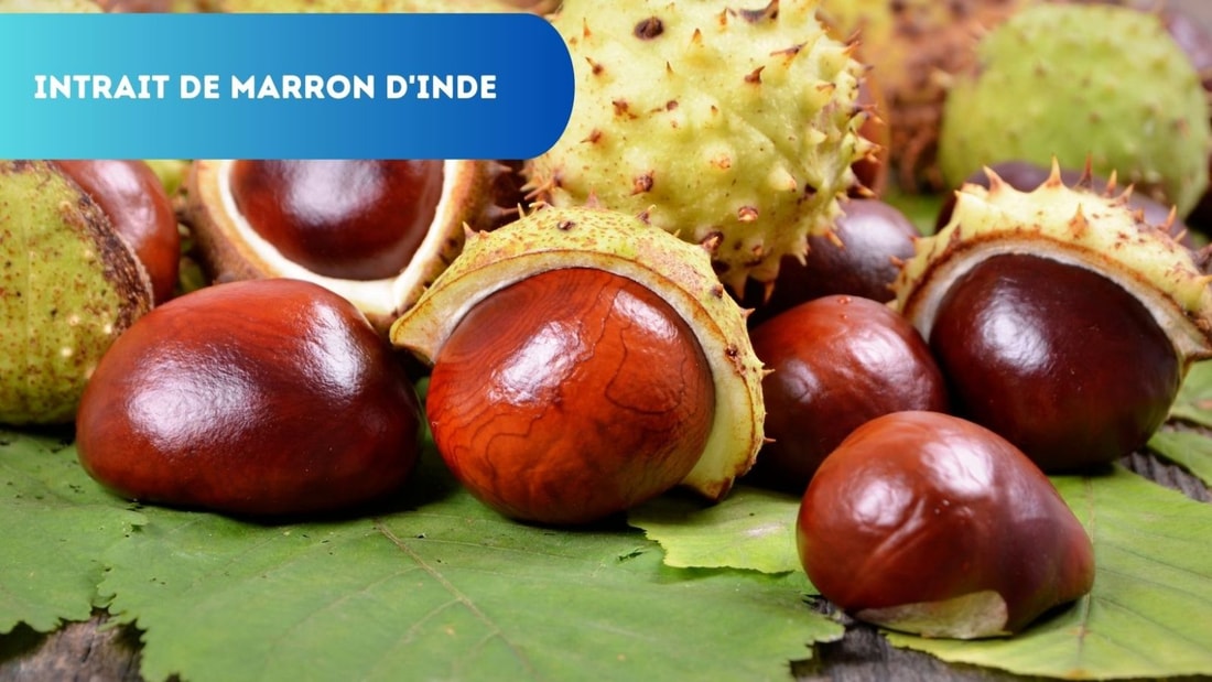 Intrait De Marron D Inde Effets Secondaires